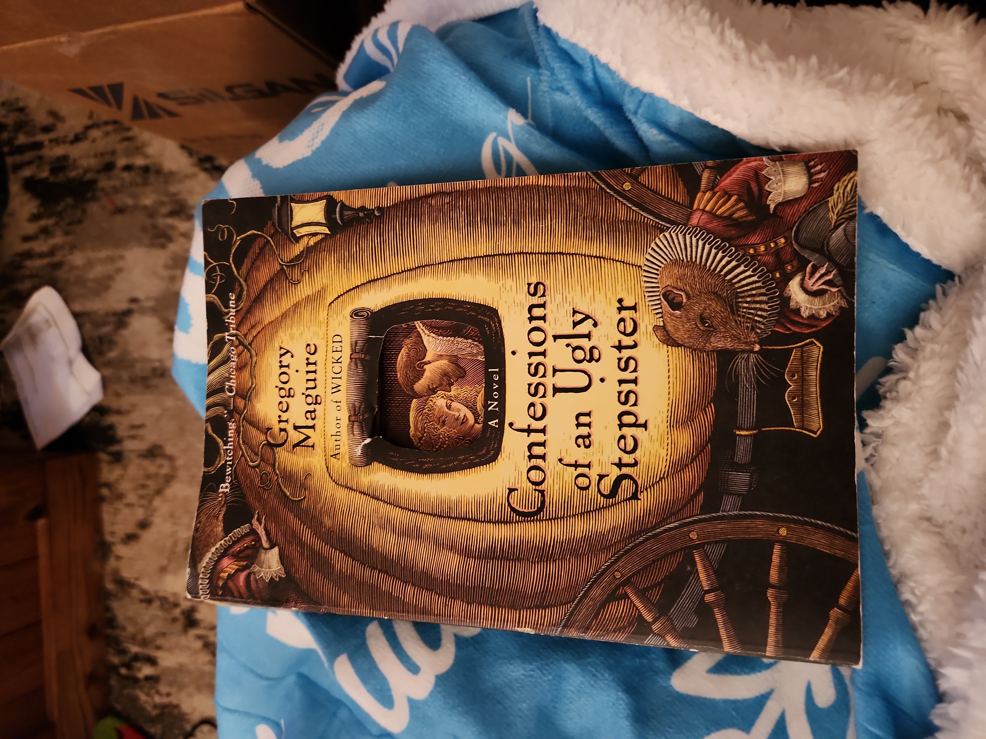 Confessions of an Ugly Stepsister