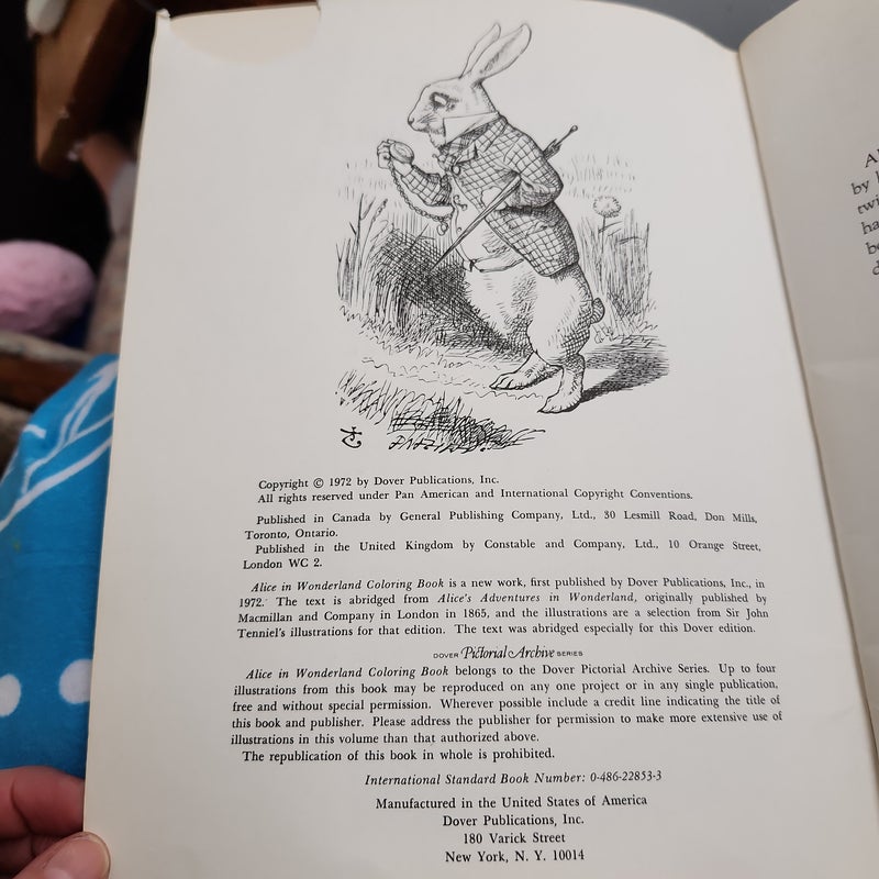 Alice in Wonderland Coloring Book