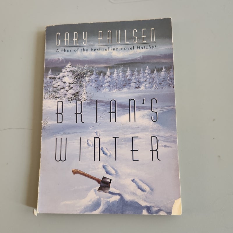 Brian's Winter