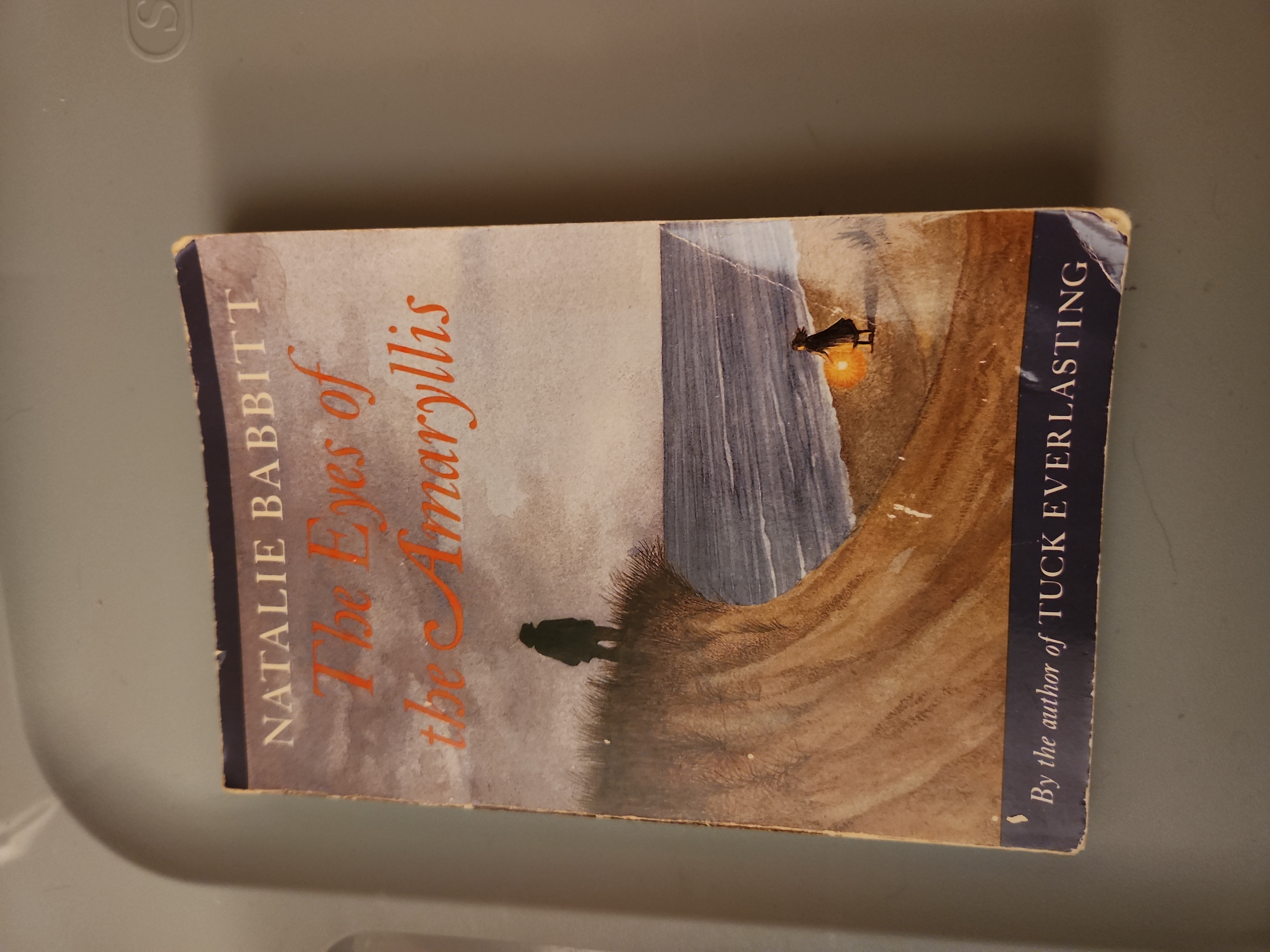 The Eyes of the Amaryllis