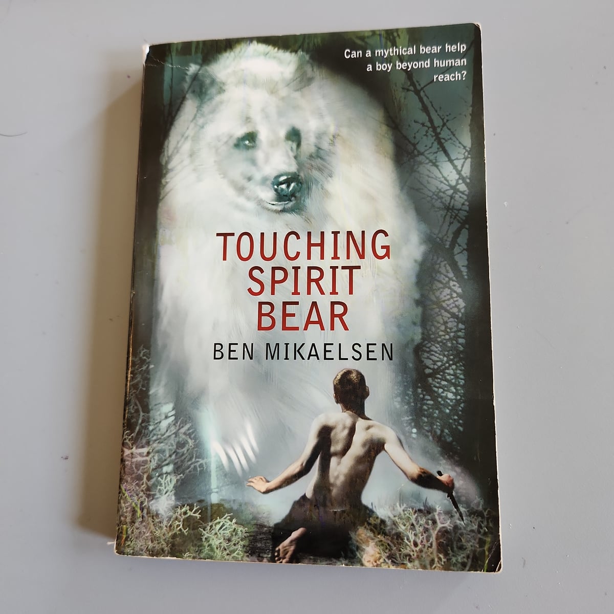 Touching Spirit Bear by Ben Mikaelsen