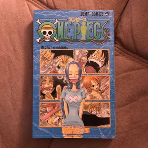 One Piece, Vol. 23