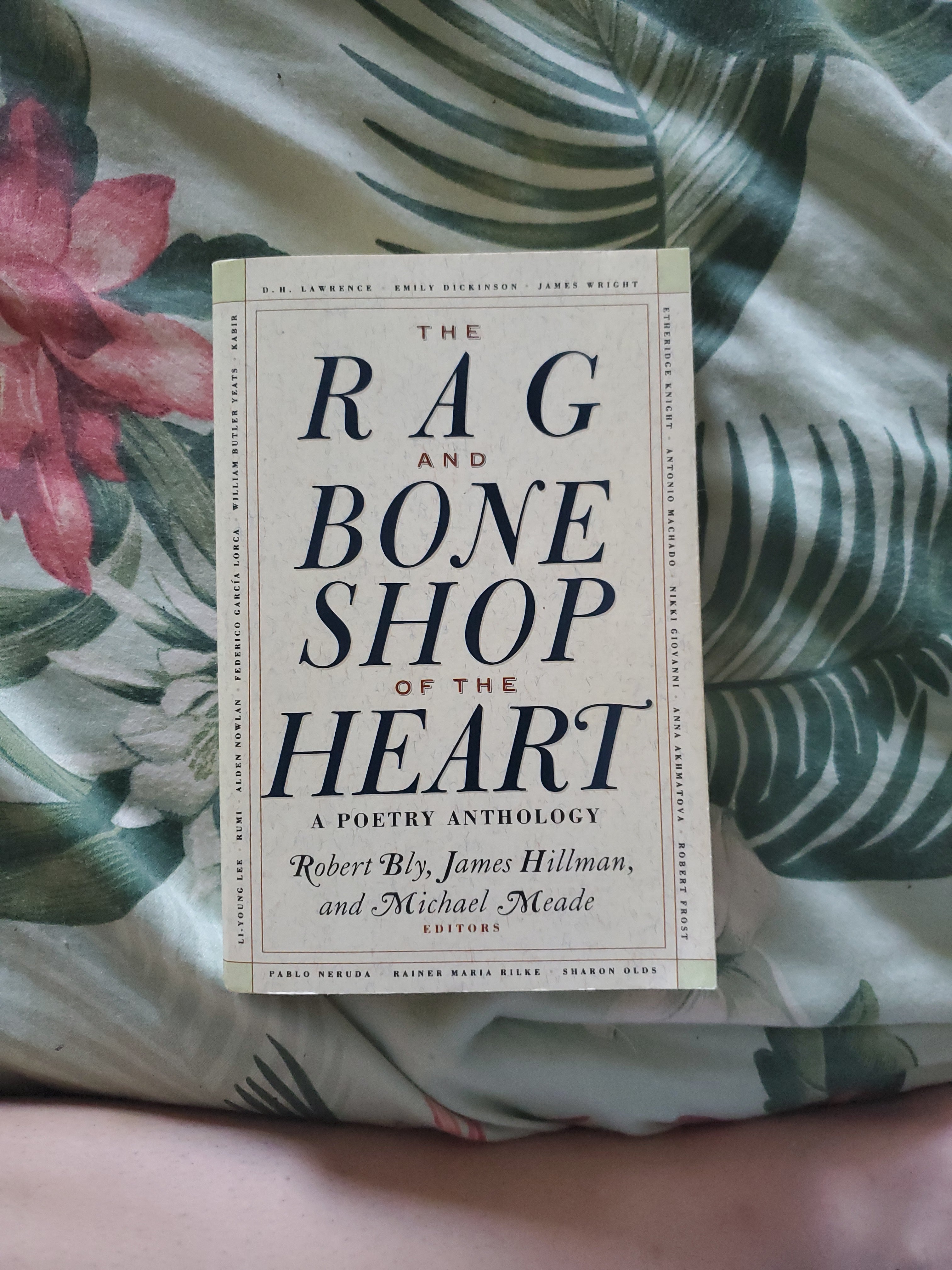 The Rag and Bone Shop of the Heart