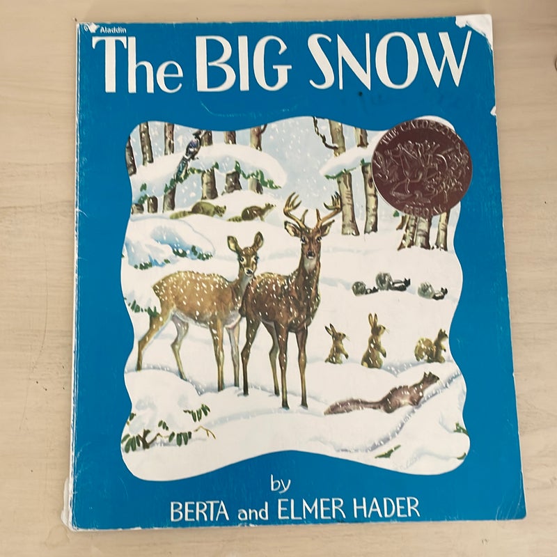 The Big Snow 