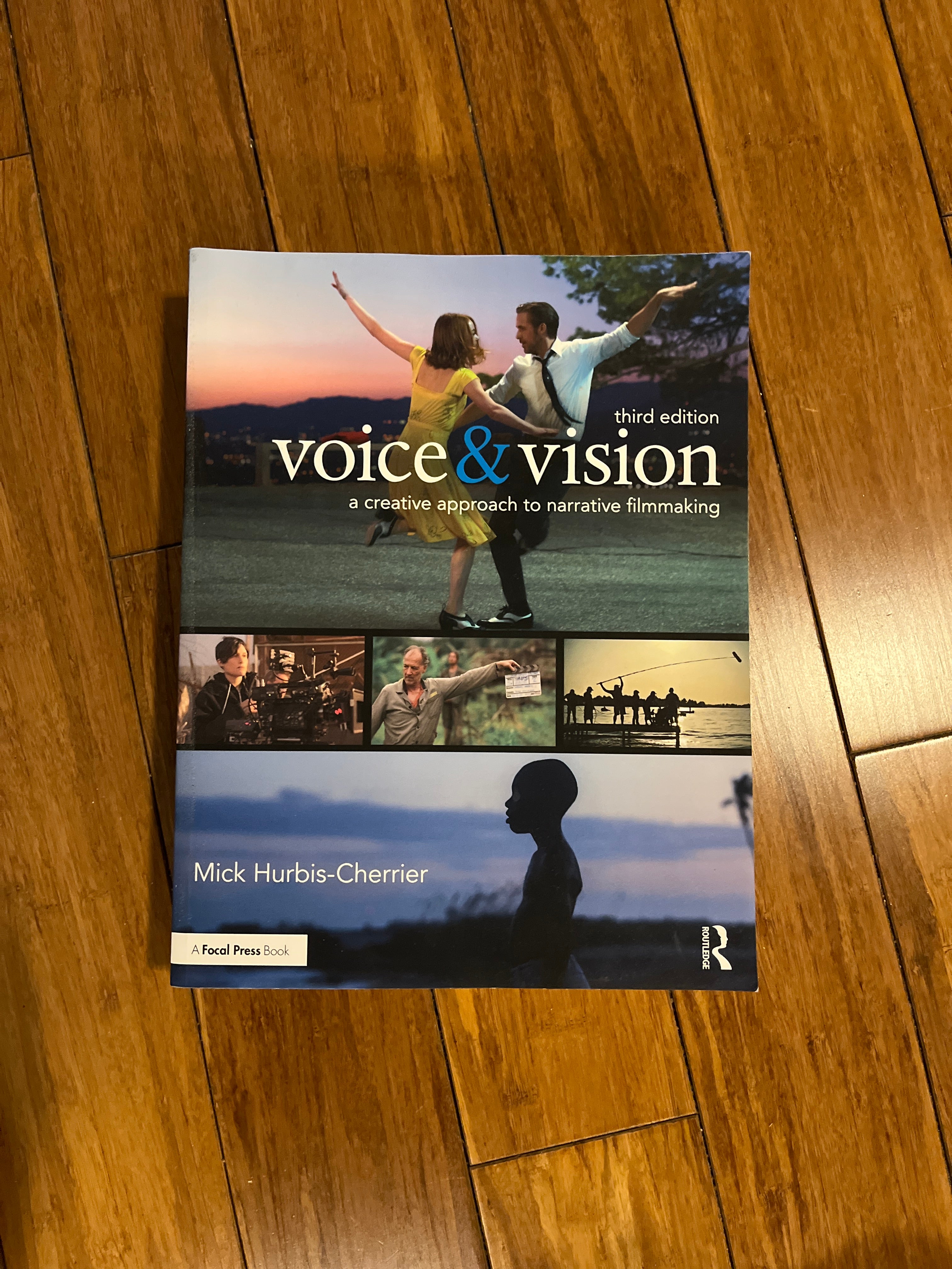 Voice and Vision