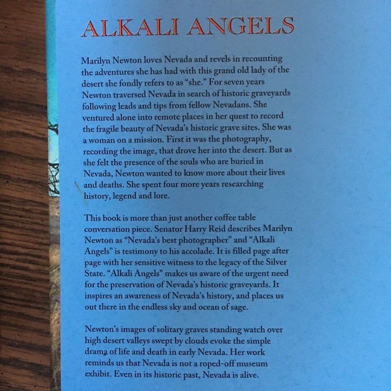 Alkali Angels