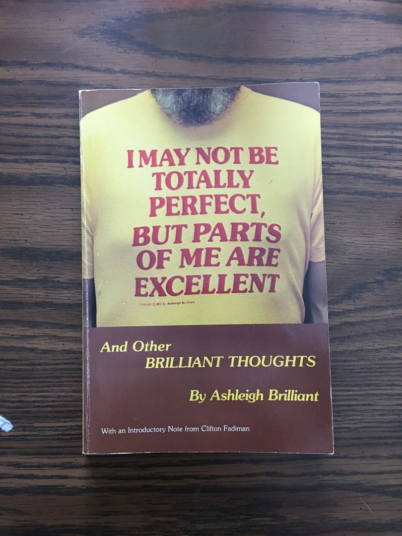 I May Not Be Totally Perfect, but Parts of Me Are Excellent