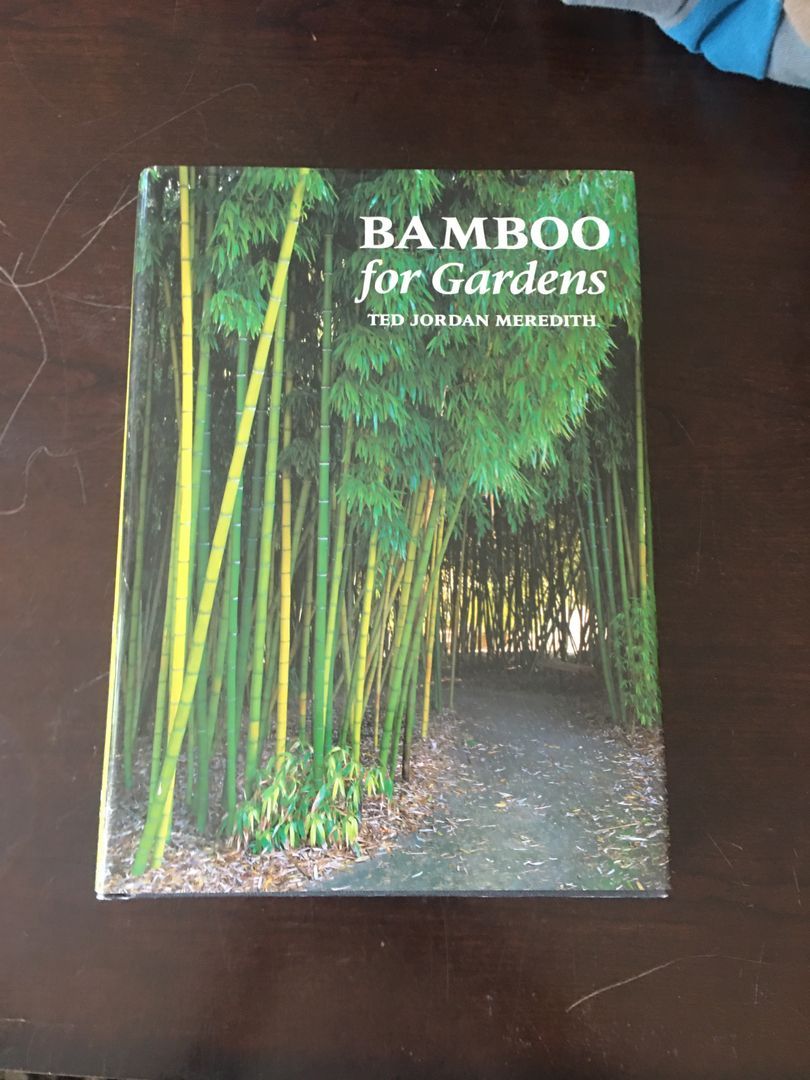 Bamboo for Gardens