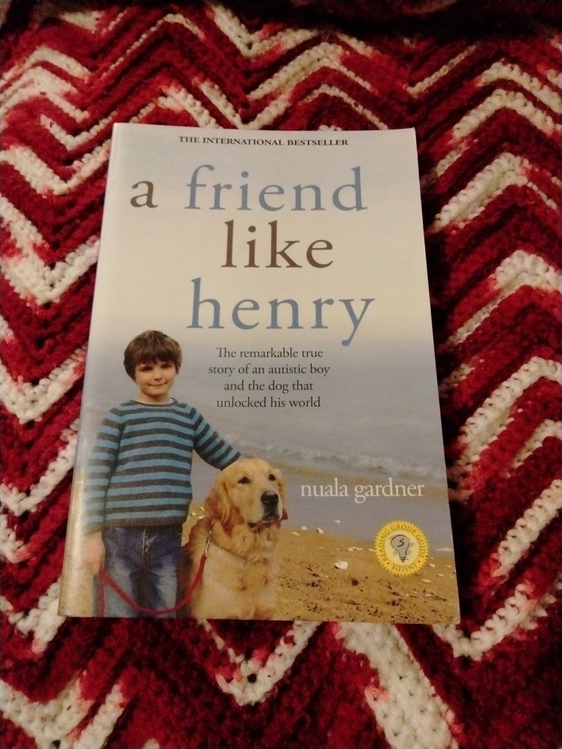 A Friend Like Henry