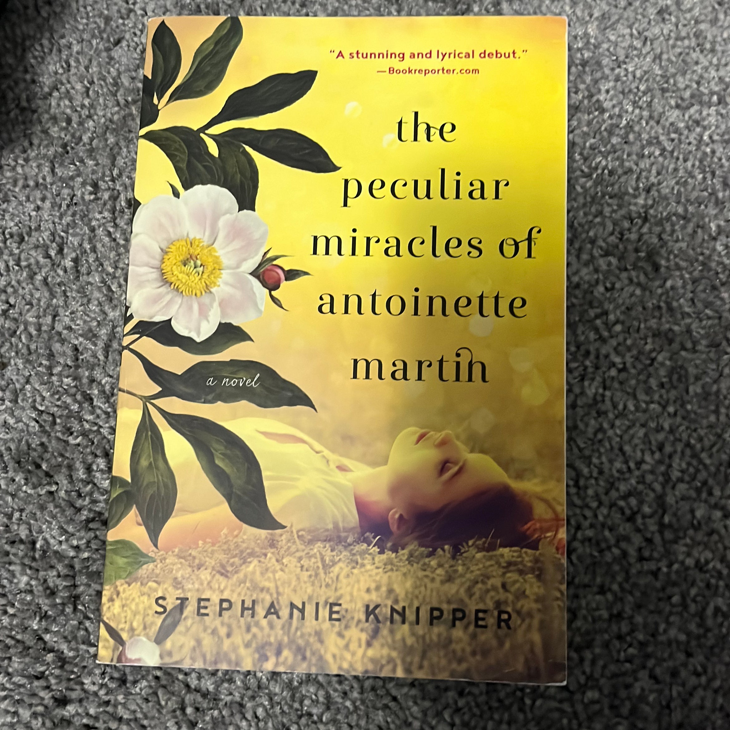 The Peculiar Miracles of Antoinette Martin