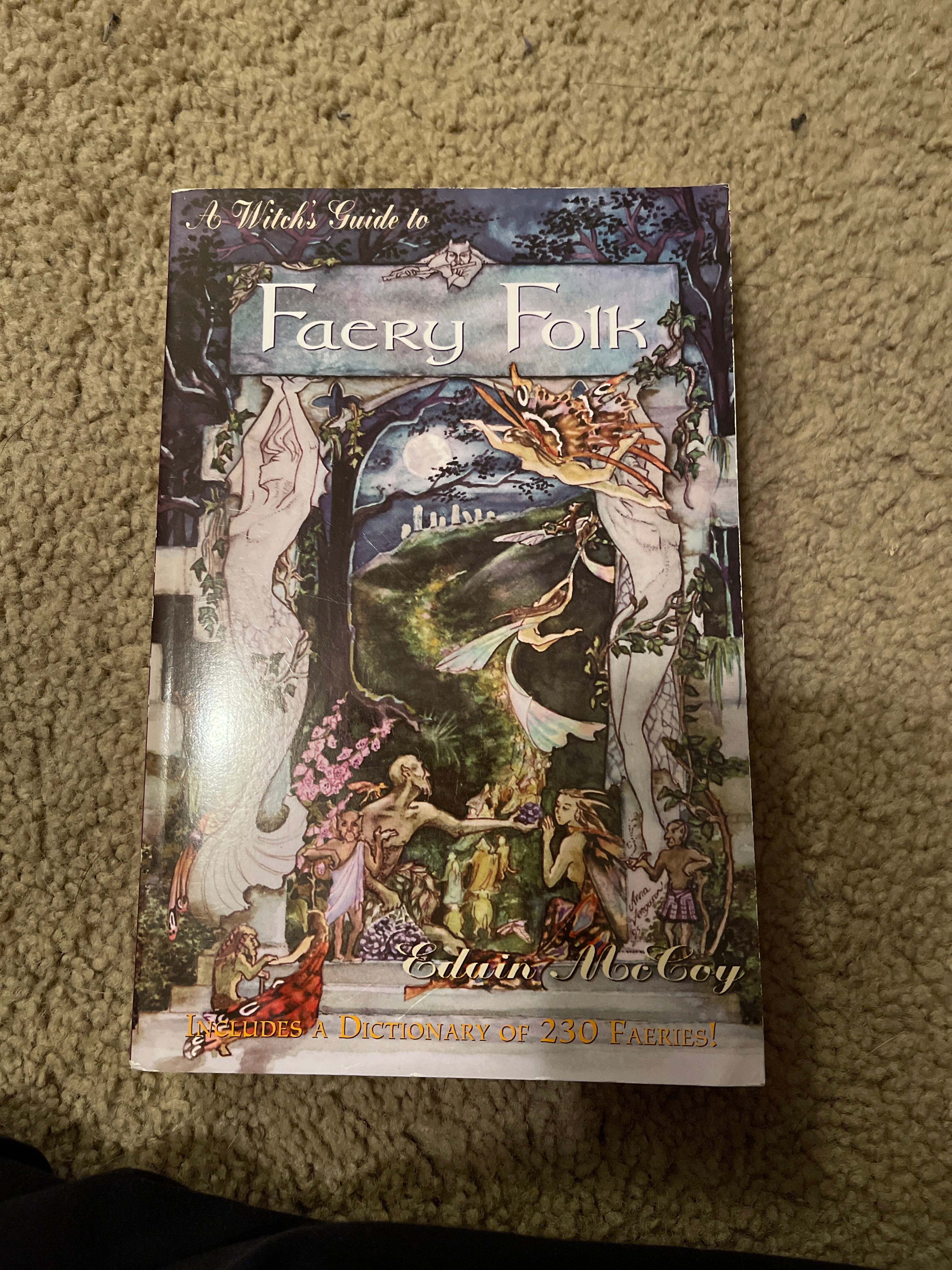 A Witch's Guide to Faery Folk