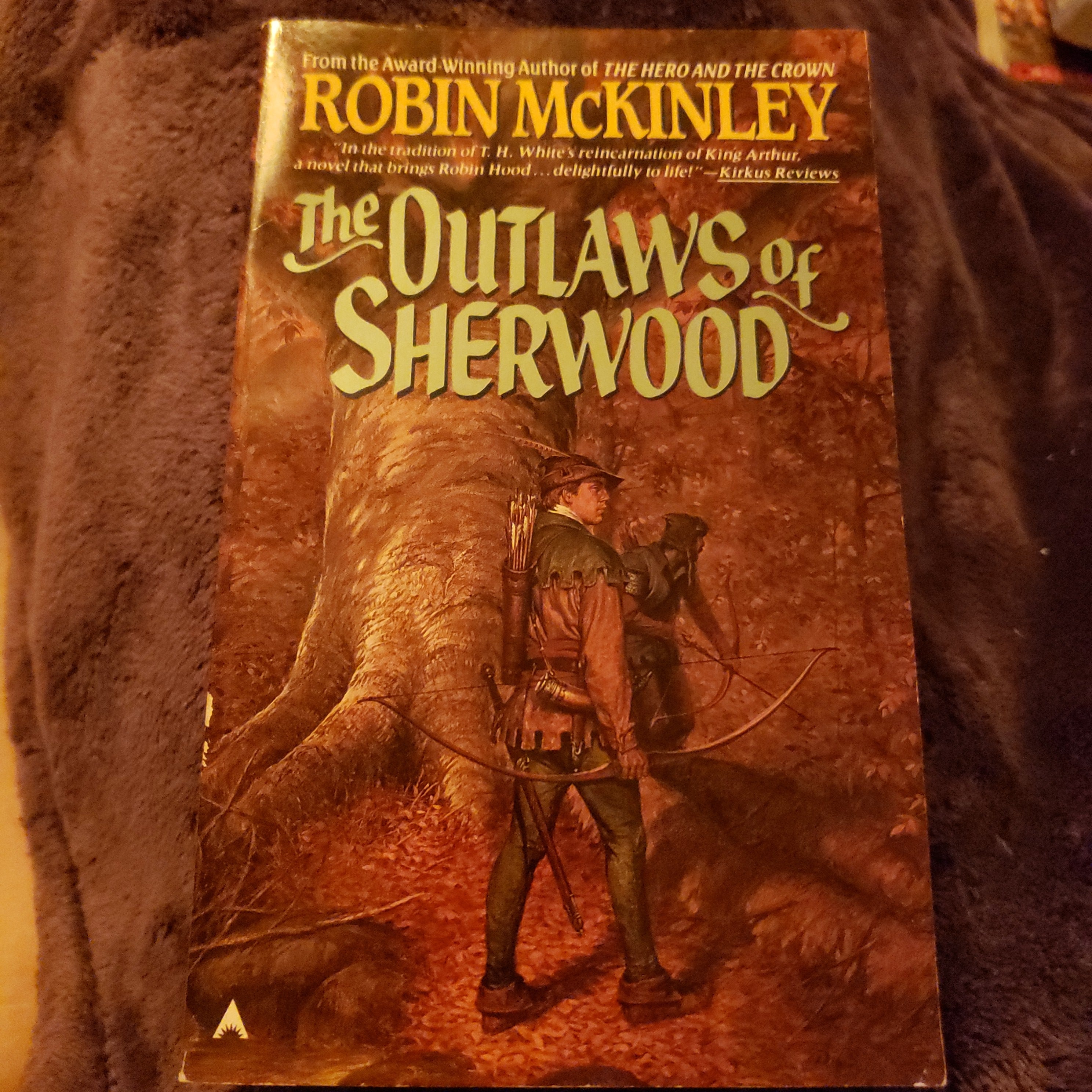 The Outlaws of Sherwood