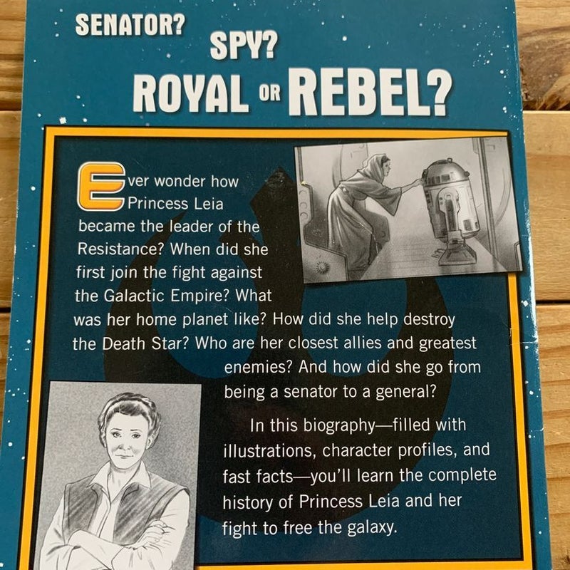 Princess Leia Royal Rebel