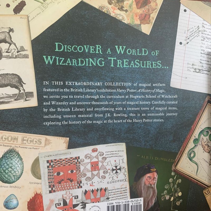 Harry Potter Themed Book Bundle
