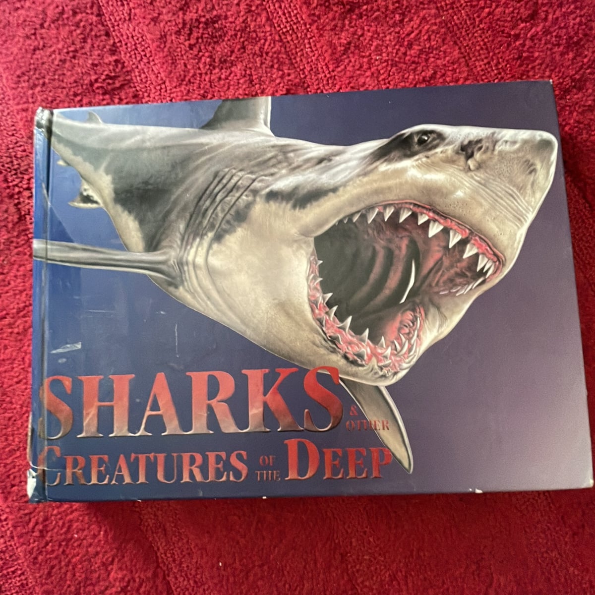 Sharks and Other Creatures of the Deep by Susan Barraclough