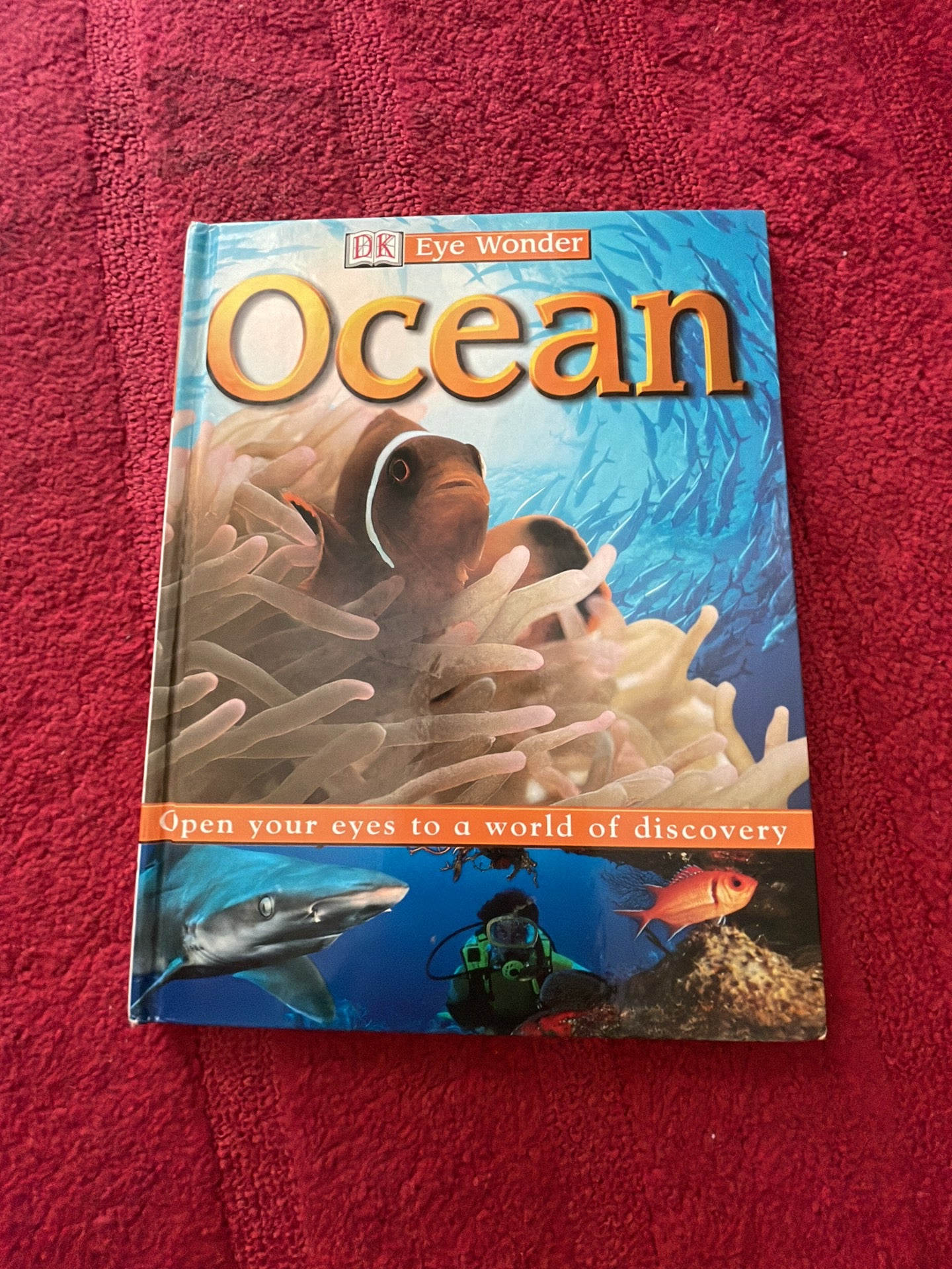 Ocean