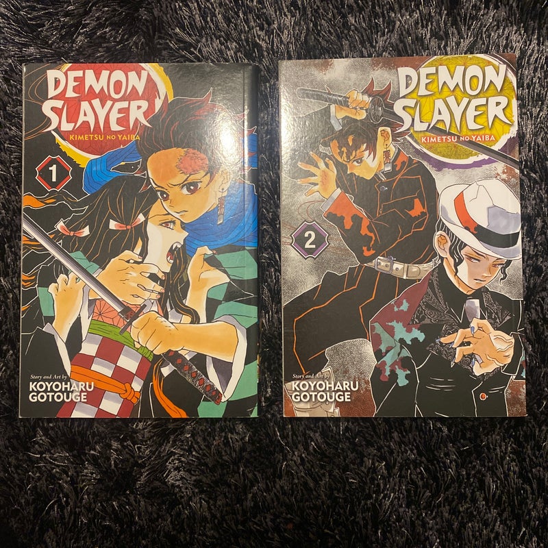 demon slayer volumes (1+2)