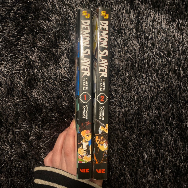 demon slayer volumes (1+2)