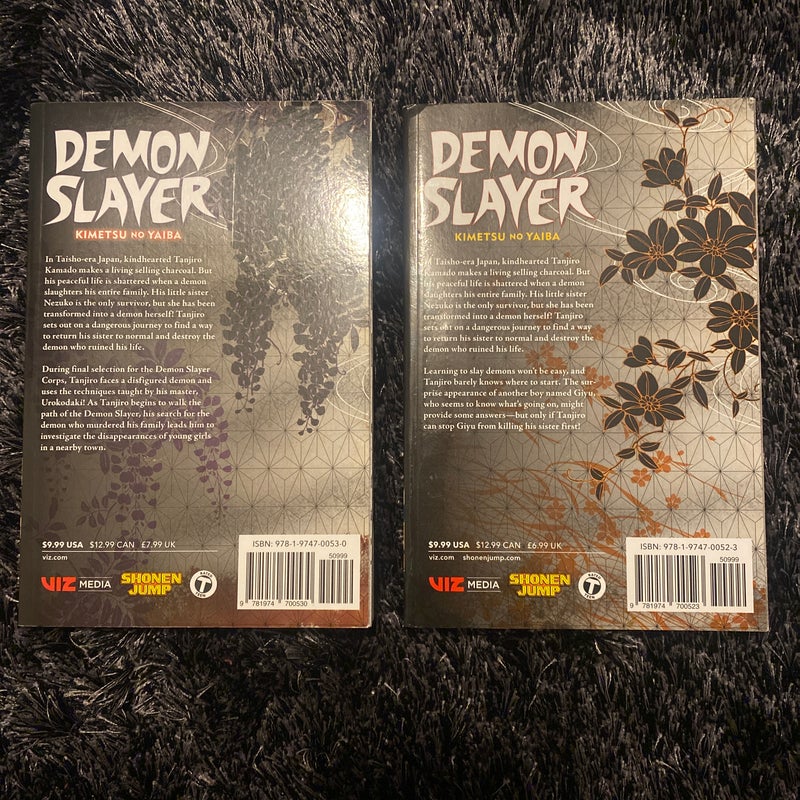 demon slayer volumes (1+2)