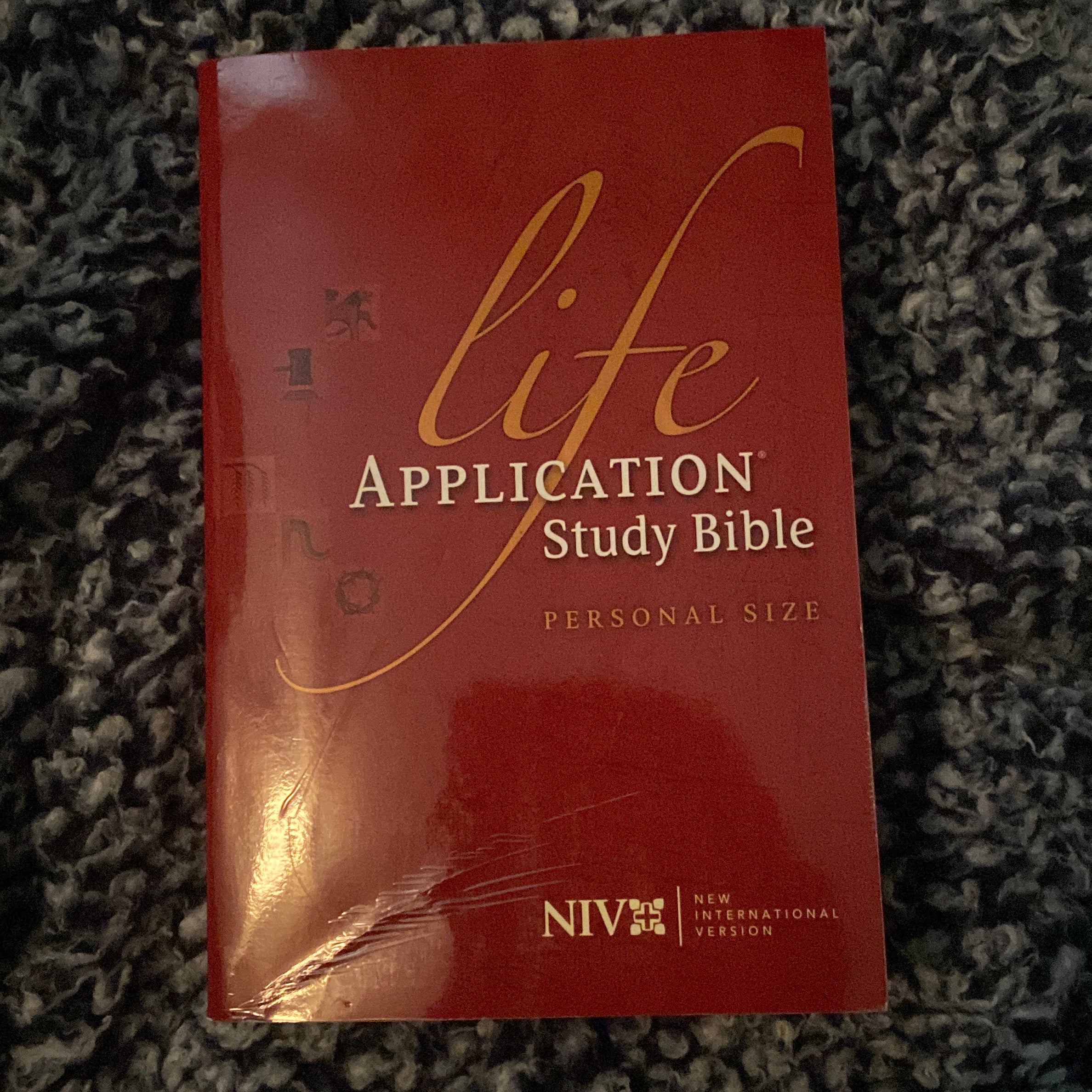 Life Application Study Bible