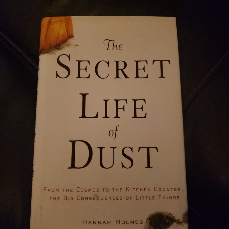 The Secret Life of Dust 