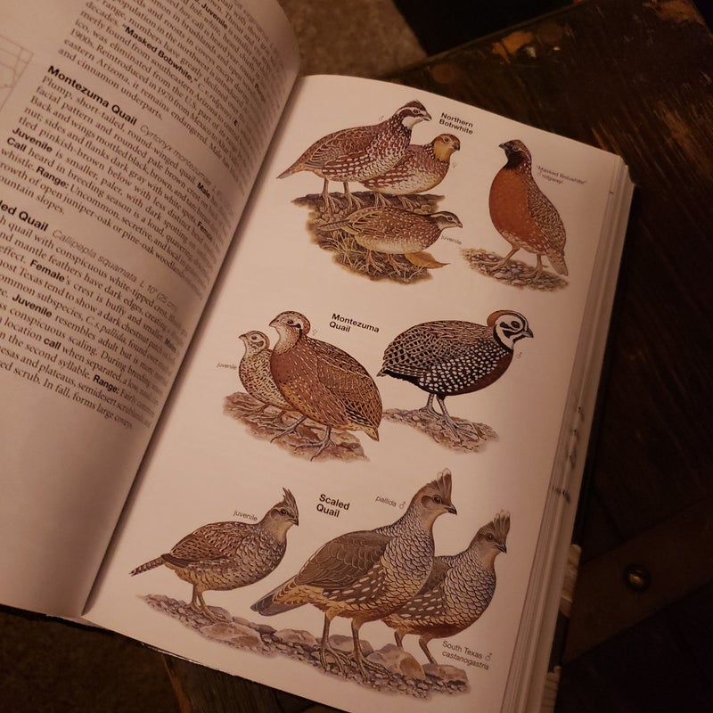 Field Guide to the Birds of North America 