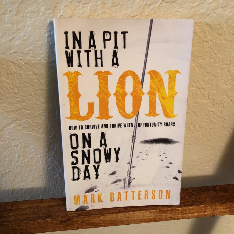 In a Pit with a Lion on a Snowy Day