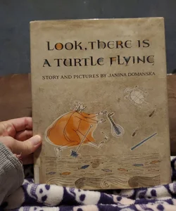 Look, There Is A Turtle Flying