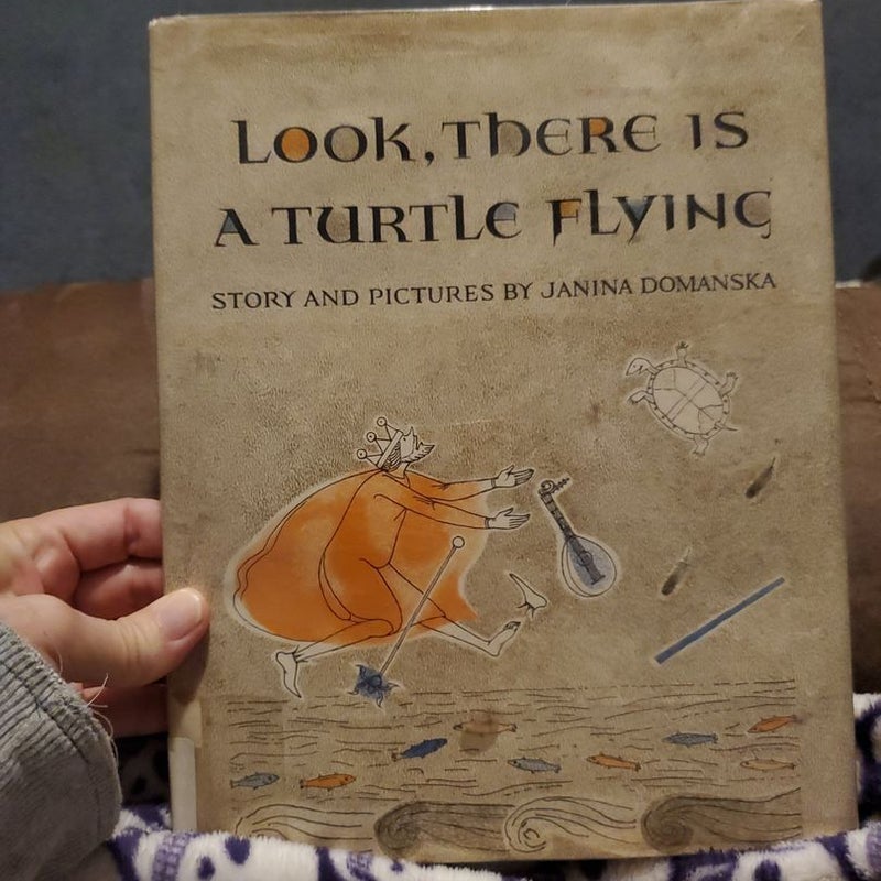 Look, There Is A Turtle Flying