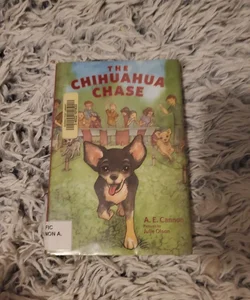 The Chihuahua Chase