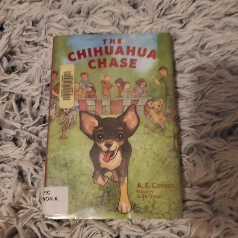 The Chihuahua Chase