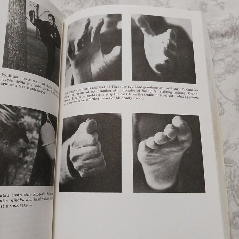 Ninjitsu: History And Tradition 