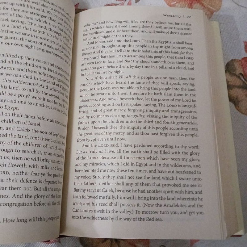 The Story, KJV