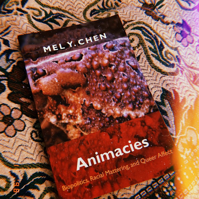 Animacies by Mel Y. Chen
