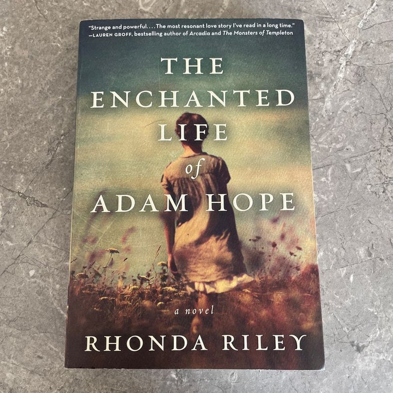 The Enchanted Life of Adam Hope 