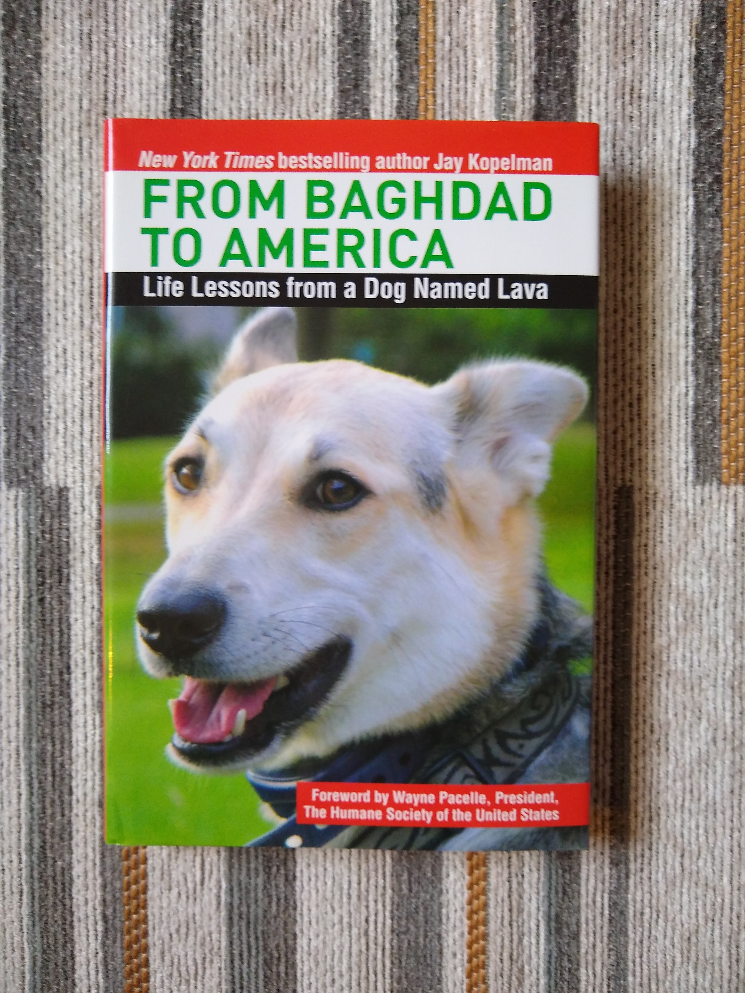 From Baghdad to America