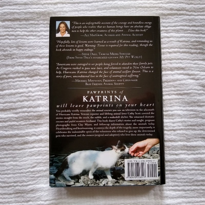 Pawprints of Katrina