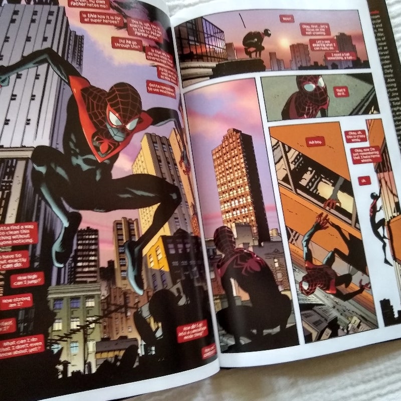 Ultimate Comics Spider-Man