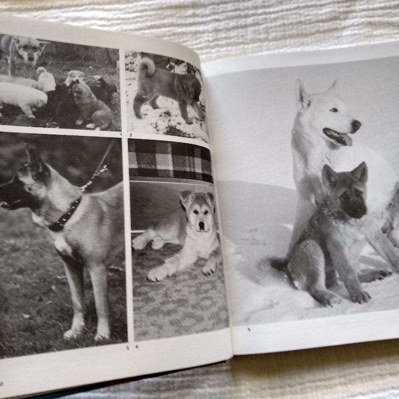 The Book of the Akita