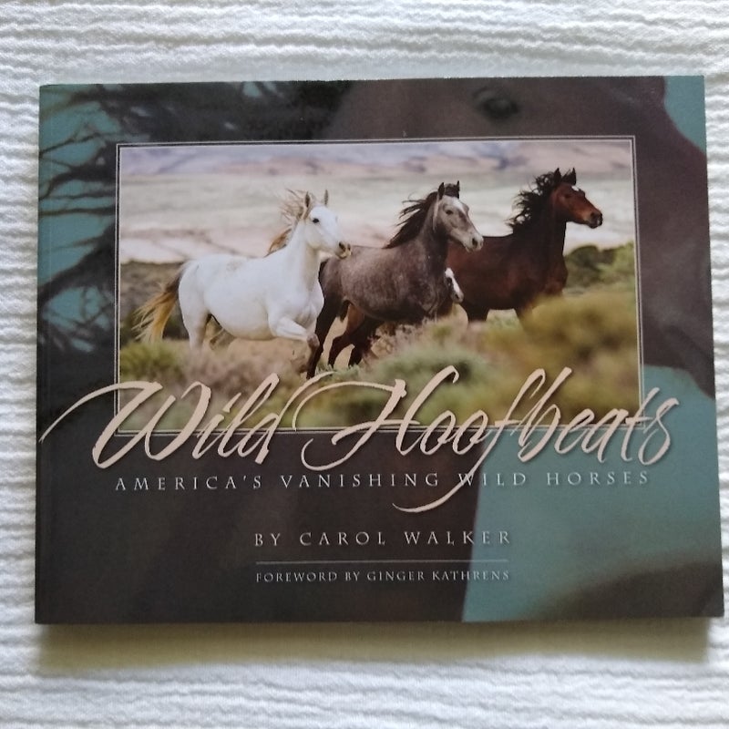 Wild Hoofbeats