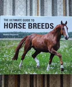 The Ultimate Guide to Horse Breeds