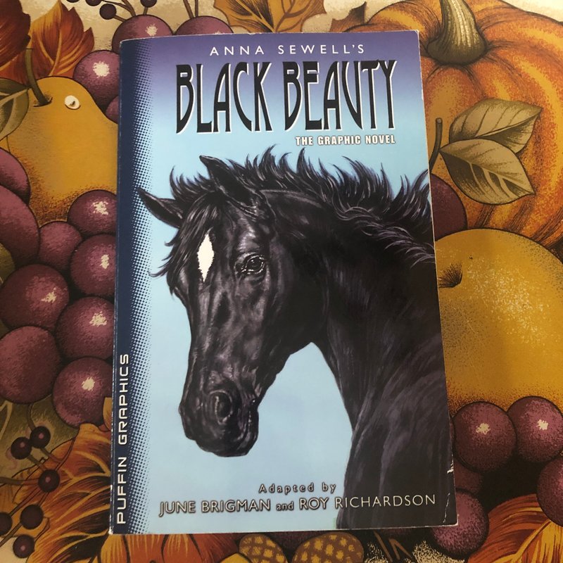 Puffin Graphics: Black Beauty