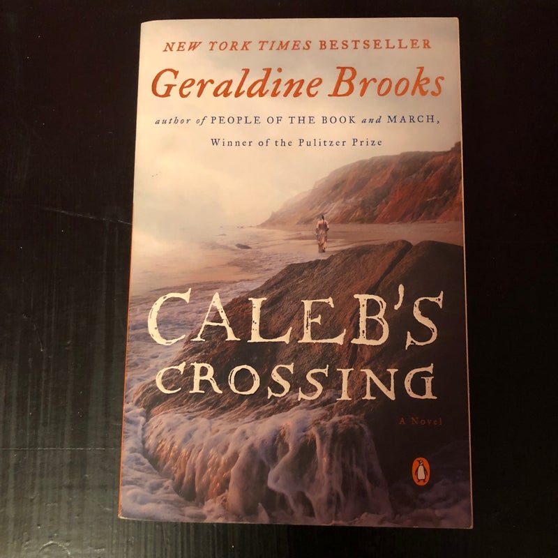 Caleb's Crossing