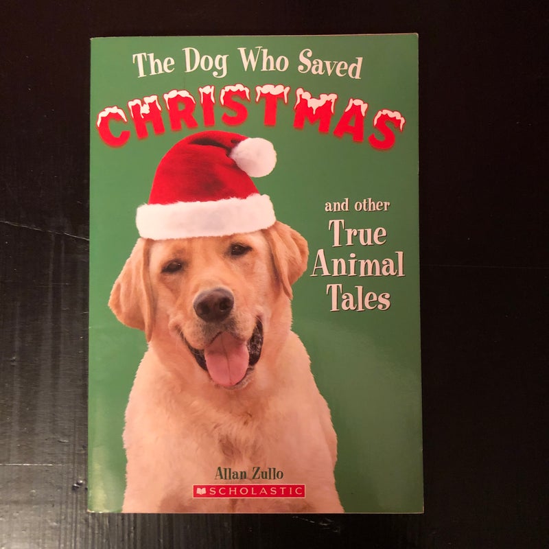 The Dog Who Saved Christmas 