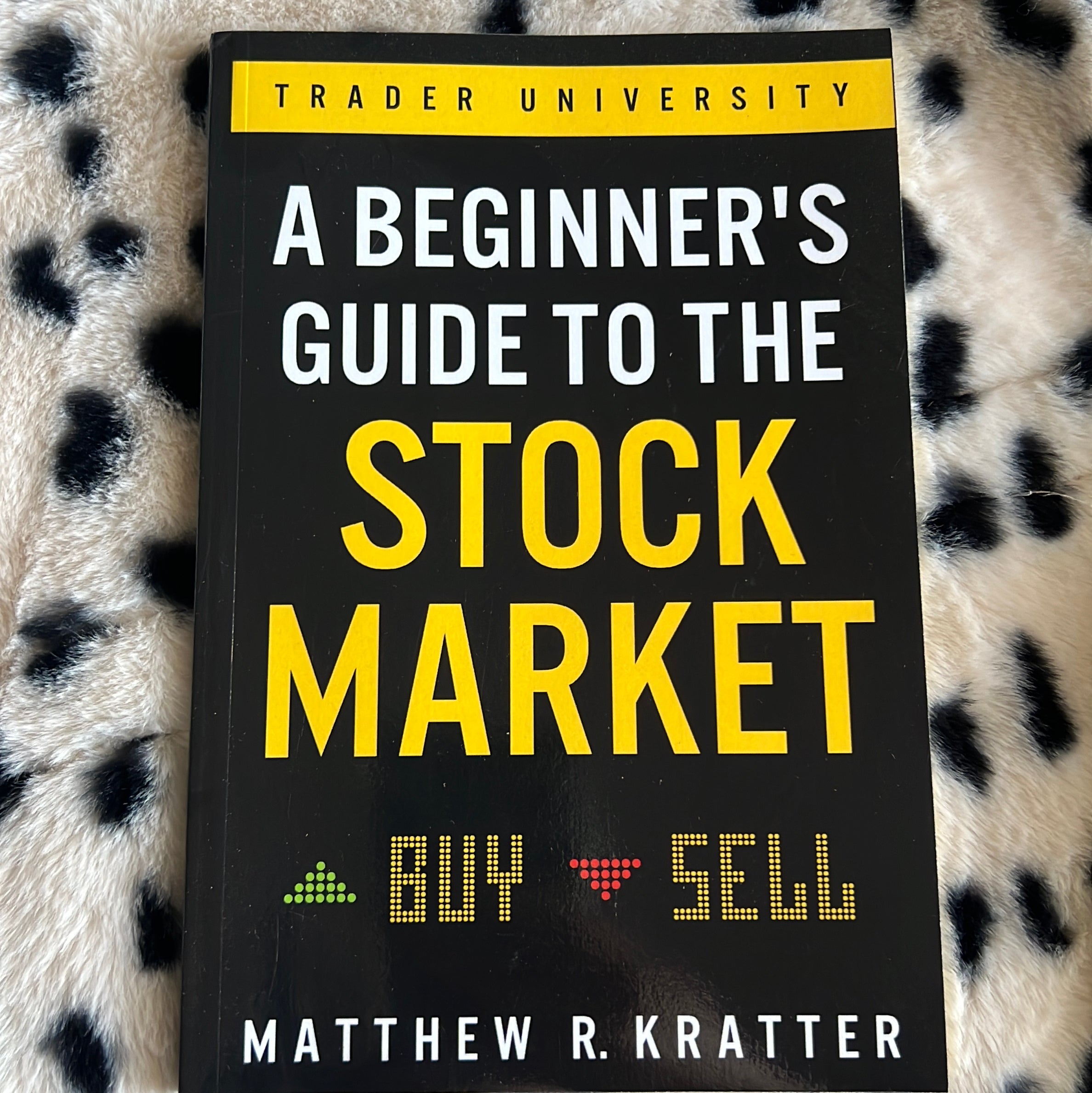 A Beginner's Guide to the Stock Market