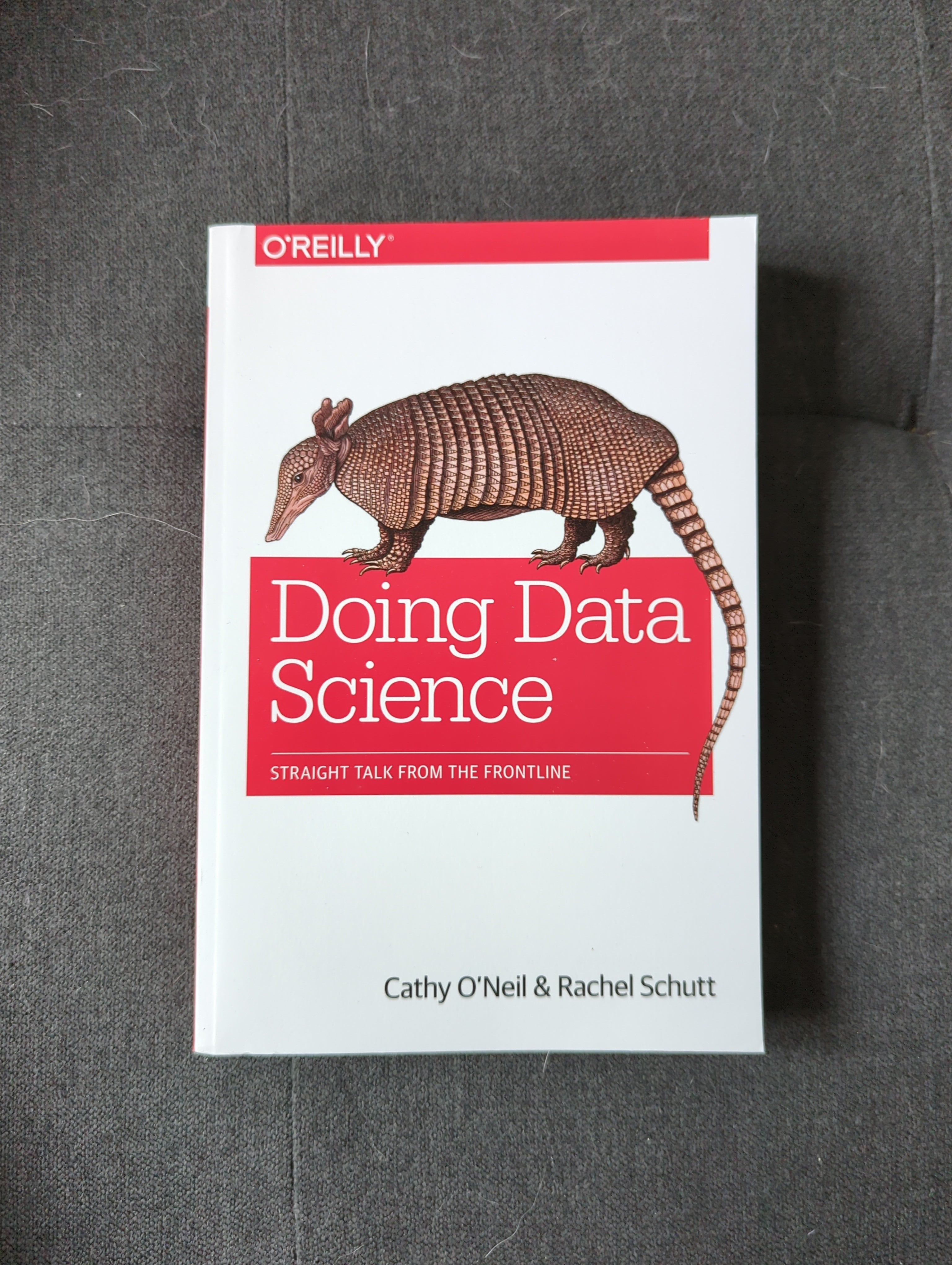 Doing Data Science