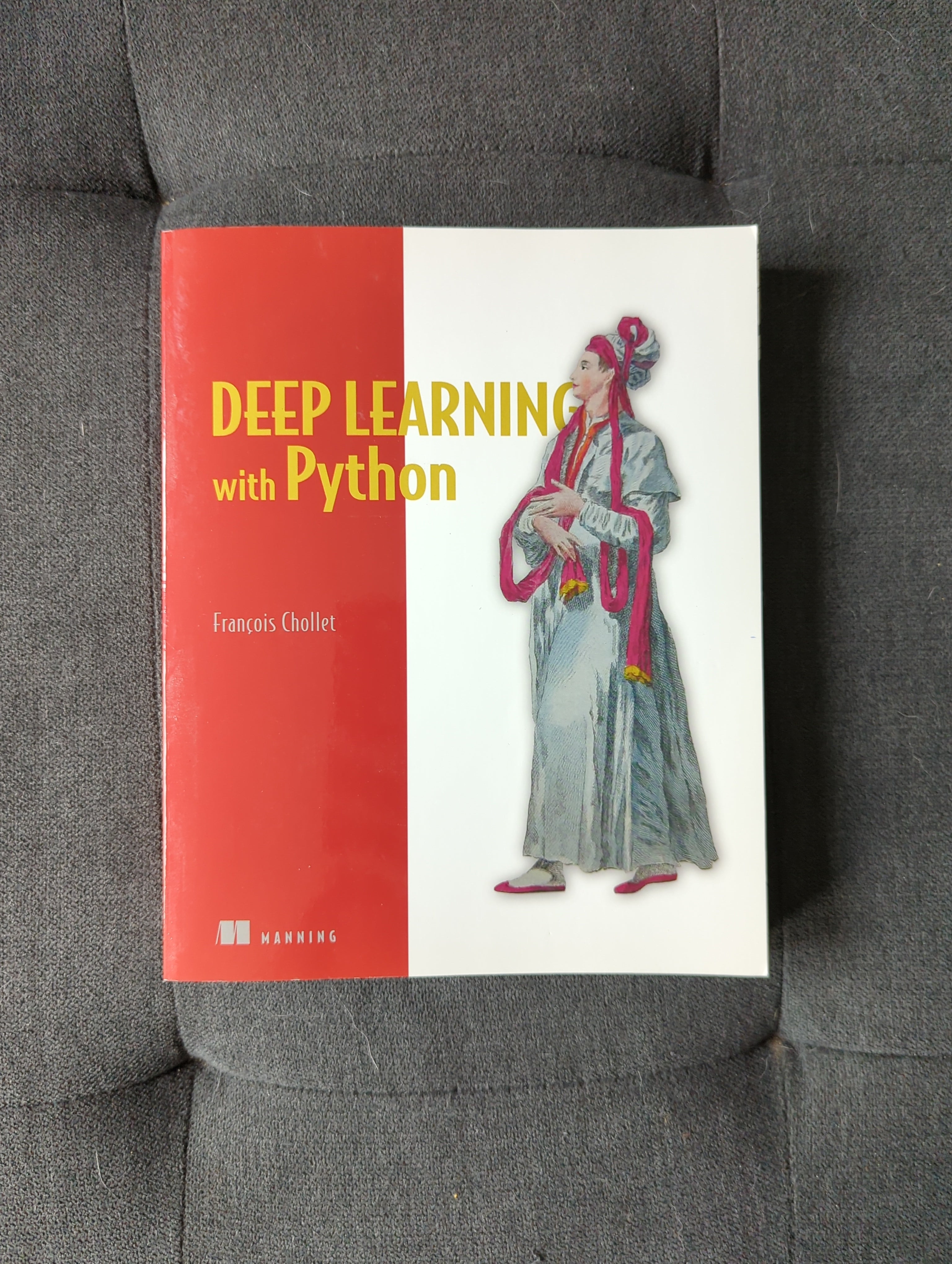 Deep Learning with Python