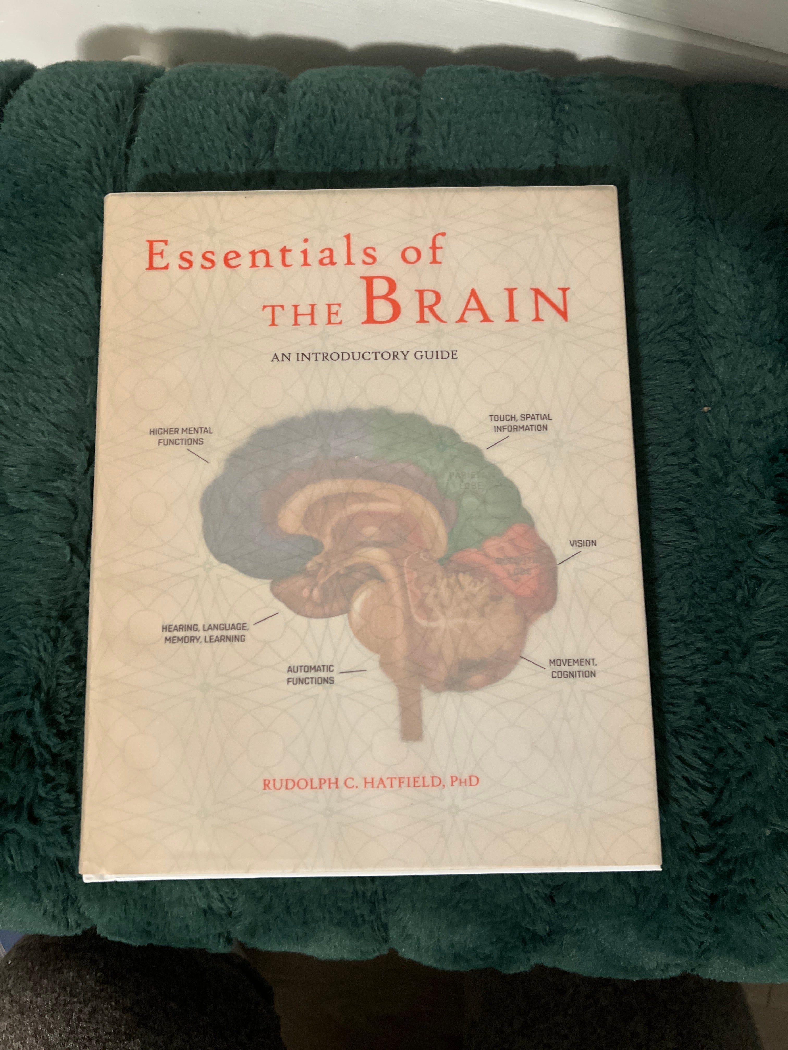 Essentials of the Brain