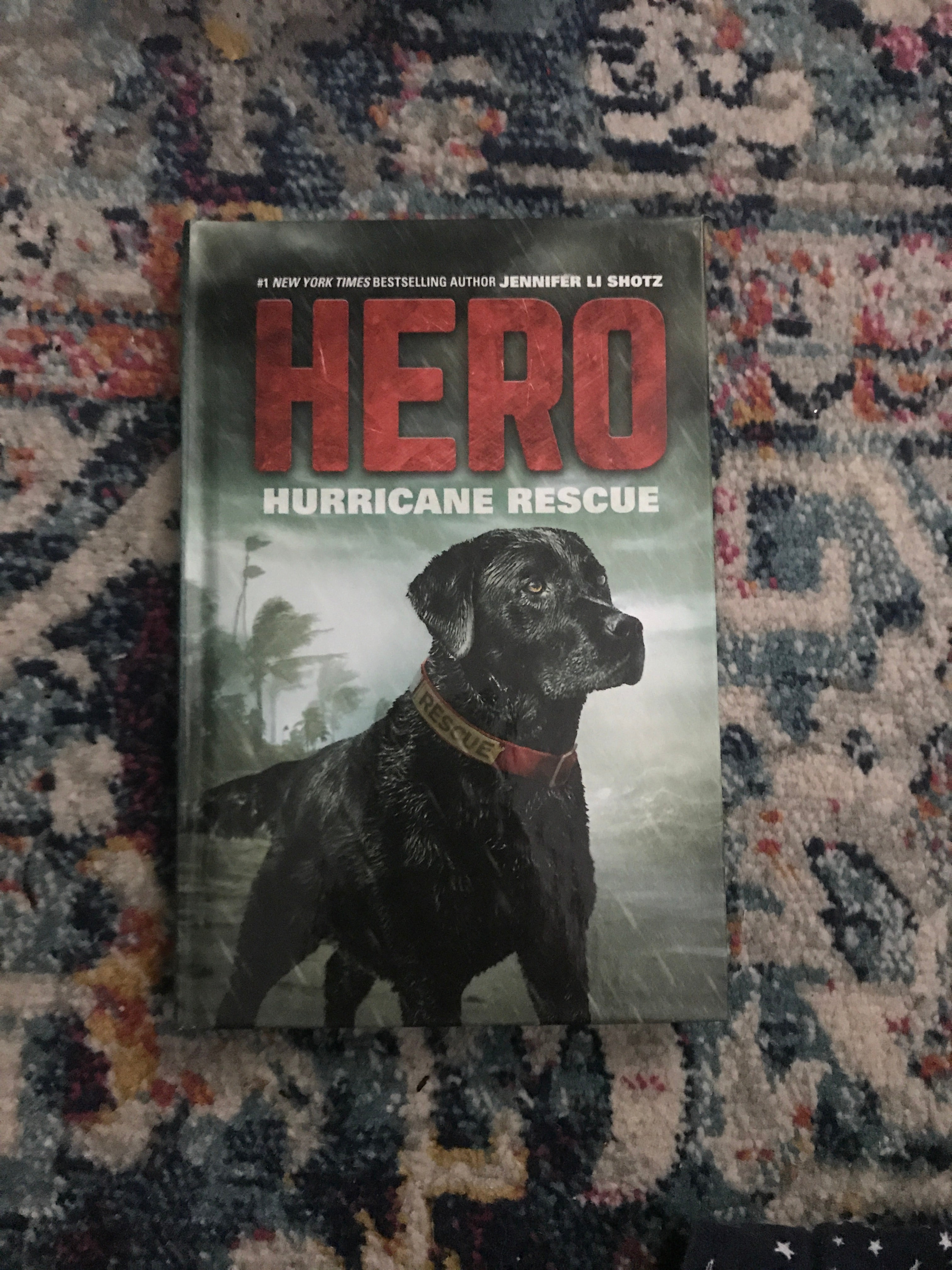 Hero: Hurricane Rescue