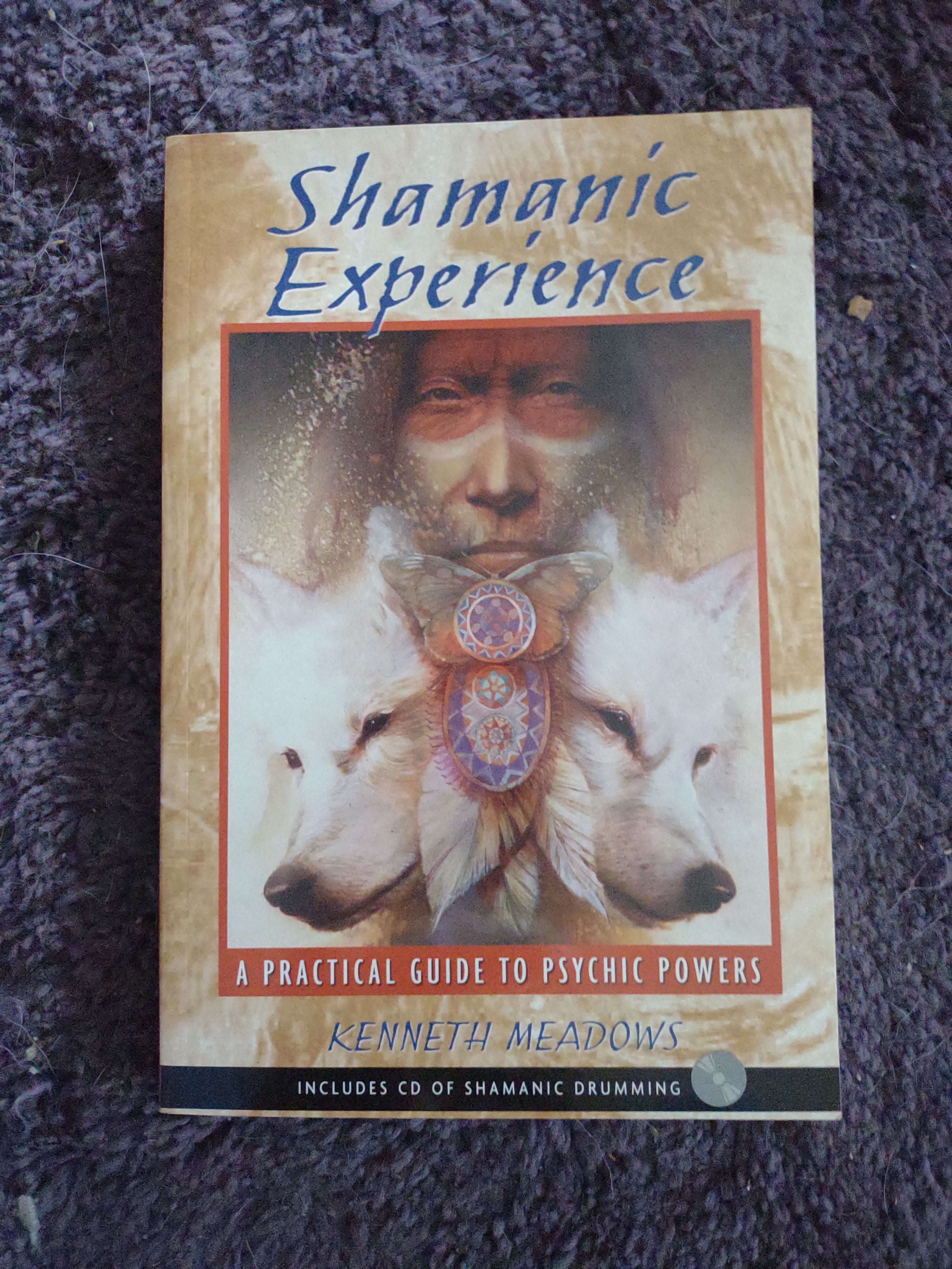 Shamanic Experience